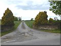 Driveway to the Gill Farm