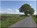 Moor Road near Slealandsburn Farm