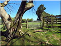 Llwybr ceffyl Gellihen / Gellihen bridleway