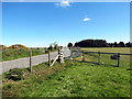 Llwybr ceffyl yn cyrraedd yr heol / A bridleway approaching the road