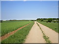 Permissive path, North Rauceby Heath