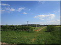 Corner of a solar farm, North Rauceby Heath