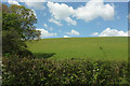 Hillside meadow near Bustley Bridge