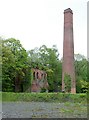 SJ2067 : Taylor's Shaft Engine House and chimney, Hendre by Alan Murray-Rust