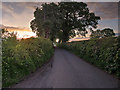 Track towards Warford Grange Farm