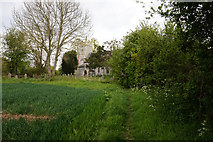 TG3808 : Path leading to All Saints Church, Beighton by Ian S