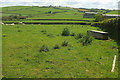 Sheep pasture near Rooks Farm