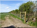 Fence near Netherhirst Farm