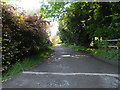 View down road from Didlington Nursery