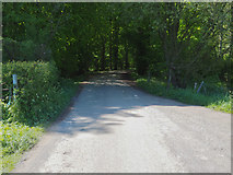 TL7797 : Road leading out of Nursery by David Pashley