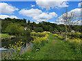 Footpath loop between the River Beane and the River Lea