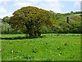 Farmland, St Stephen-in-Brannel