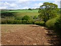 Farmland, St Stephen-in-Brannel