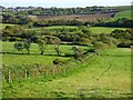 Farmland, St Columb Major