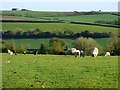 Farmland, St Columb Major