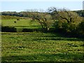 Farmland, St Columb Major