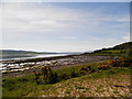 Beauly Firth shoreline near Lettoch