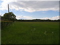 Farmland west of Coxes Farm Road