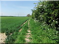 Path towards Bishop Burton