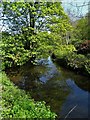 Mag Brook seen from Mag Bridge