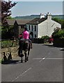 Horse rider in Helme