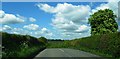 Hedge lined road near Blackford