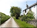 Oxenpark Cottage