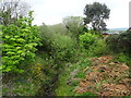 Dumfries-Portpatrick railway, track-bed at Kirkcowan