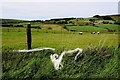 Plastic caught in a fence, Aghascrebagh