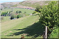 View towards Gwrhyd, Cwm Tyleri