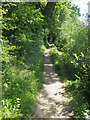 Path around Loch Neaton