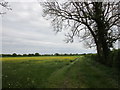 Footpath to Potterhanworth Wood