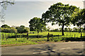 Gate into Field south of Lindle Lane