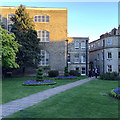 Chelmsford: evening sunlight in the Cathedral churchyard