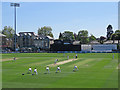 County cricket at Chelmsford