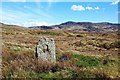 NR4064 : Standing Stone Near Loch Fada by Mary and Angus Hogg