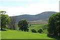 Green pastures, dark fells