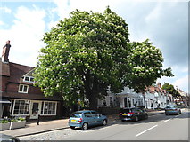 SU9032 : Haslemere- an idyllic town (29) by Basher Eyre