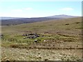 NY7535 : Moorland around upper Teesdale by Oliver Dixon