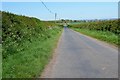 NT6734 : Road to Haymount by Jim Barton