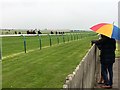TL6262 : A Grey Day at The Rowley Mile Racecourse, Newmarket by Richard Humphrey