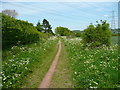 The Icknield Way, Lilley