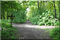 Crossing of paths on Alderstead Heath