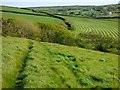 Farmland, St Gennys