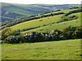 Pasture, St Gennys