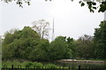 View of the Crystal Palace TV mast from Crystal Palace Park