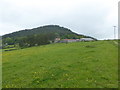 View up to Stepple farm in May