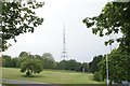 View of the Crystal Palace TV mast from Crystal Palace Park