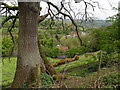 View south-east from Quarry Lane