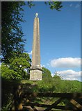 ST7734 : Stourton: Stourhead Gardens: The Obelisk by Nigel Cox